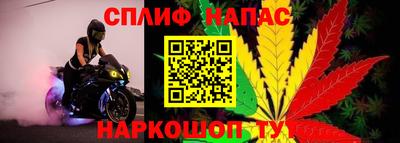эйфоретик Новозыбков