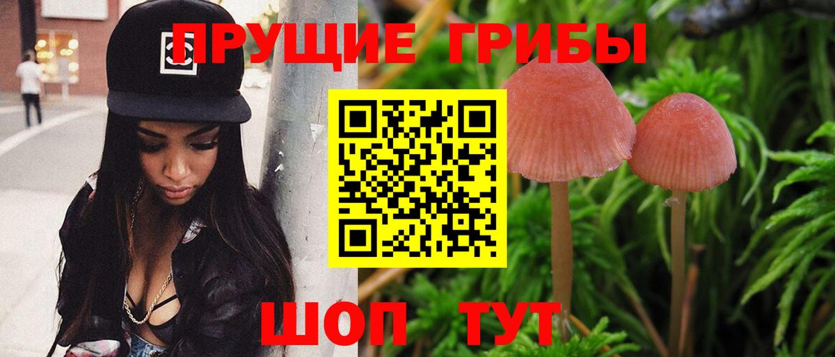 Галлюциногенные грибы мицелий Таганрог